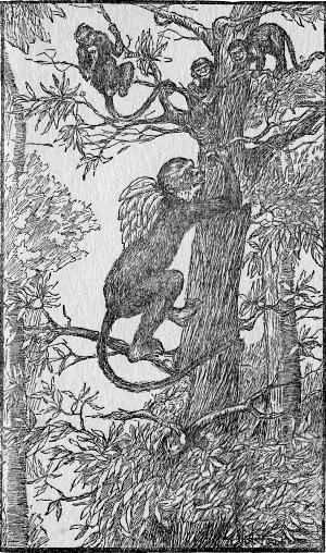 Mr. Monkey, with a bunch of bananas slung over his back,
came scrambling up to the tree-house. (Page 25)