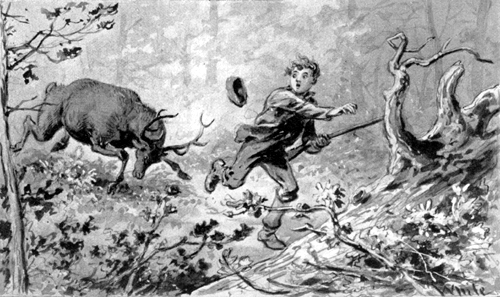 He turned on his heel and ran with might and main for
the fallen tree. He turned on his heel and ran with might and main for
the fallen tree.