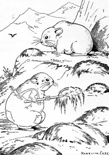 Little Chief's father taught him how to make hay. Little Chief's father taught him how to make hay.