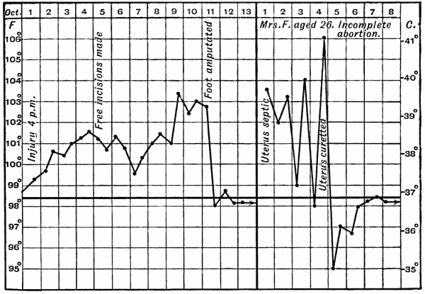 Fig. 10.&mdash;Charts of Acute sapr&aelig;mia from (a) case of crushed foot, and (b) case of incomplete abortion.