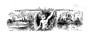 Chapter header Chapter header