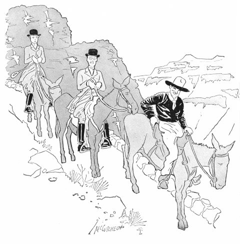 BY COMMON CONSENT WE HAD NAMED THEM CLARENCE AND CLARICE BY COMMON CONSENT WE HAD NAMED THEM CLARENCE AND CLARICE