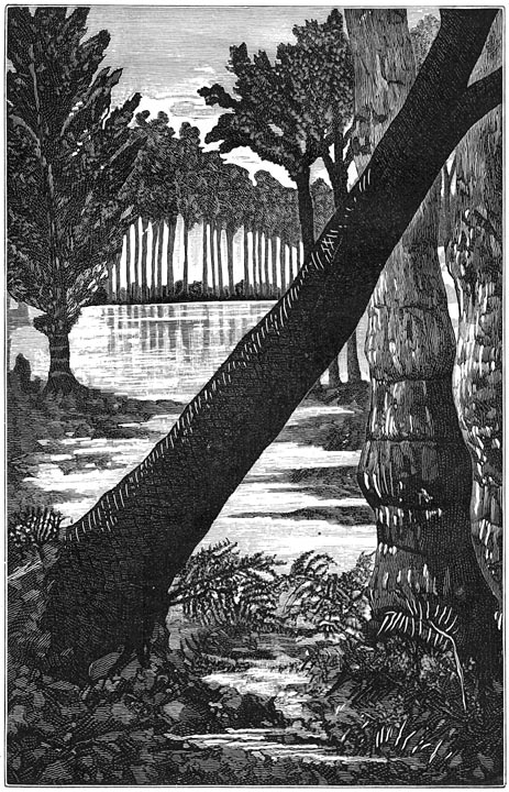 De reuzenboomen der steenkoolperiode.&mdash;Sigillaria&rsquo;s, lepidodendrons, boomvarens, (hoogte van 30 tot 40 Meters).