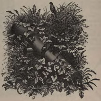 overgrown cannon overgrown cannon