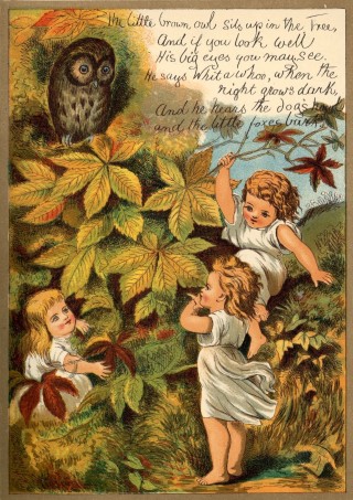 The little brown owl sits up in the Tree, /
And if you look well / His big eyes you may see. /
He says Whit a whoo, when the night grows dark, /
And he hears the dogs and the little foxes bark.