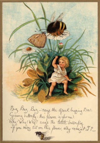 Buz, Buz, Buz--says the Great buzzing Bee. /
Go away butterfly--this flower is for me. /
Why? Why? Why? says the little butterfly, /
If you may sit on this flower, why may’nt [_sic_] I?