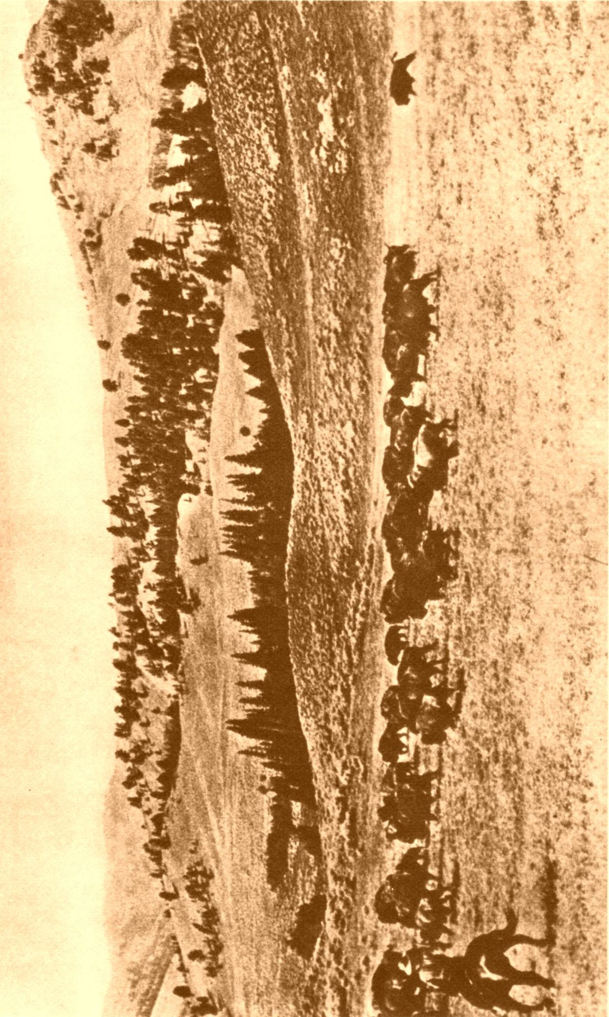 Buffalo Thundered Across the Plains Buffalo Thundered Across the Plains