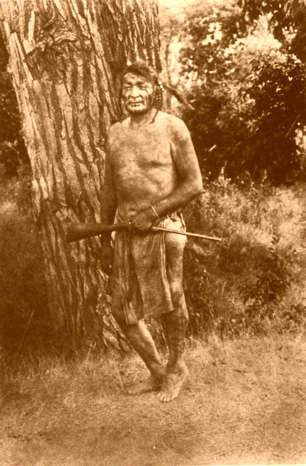 Chief Bull Snake Chief Bull Snake