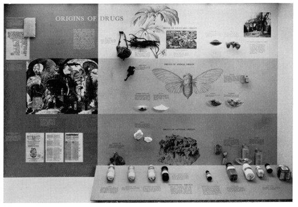 Figure 24.&mdash;The origins of drugs.