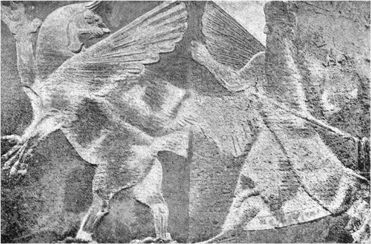 Merodach and Tiamat.