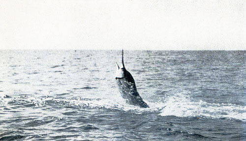 TIRED OUT&mdash;THE LAST SLOW HEAVE