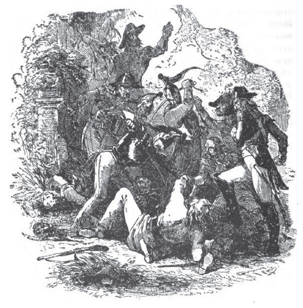 Capture of the ‘red-beard’ 334