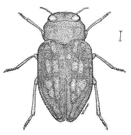 Fig. 10 at 50 dpi Fig. 10