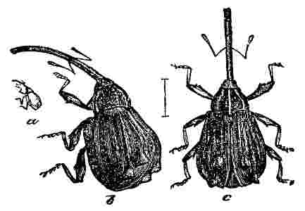 Fig. 15 at 100 dpi Fig. 15