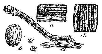 Fig. 4 at 100 dpi Fig. 4
