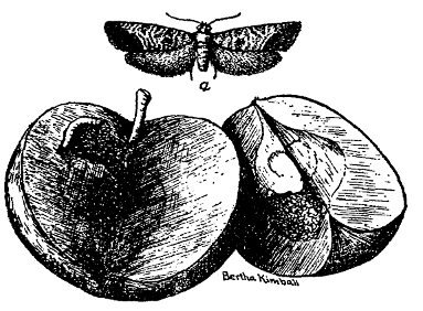 Fig. 9 at 100 dpi Fig. 9