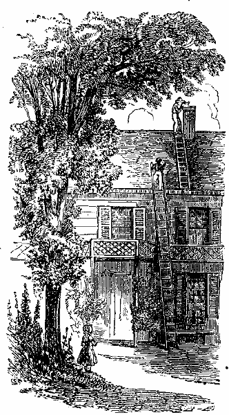 Up The Ladder. Illustration.