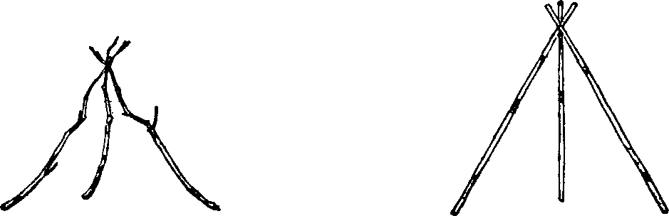 As the First Three Looked
As They Should Have Looked