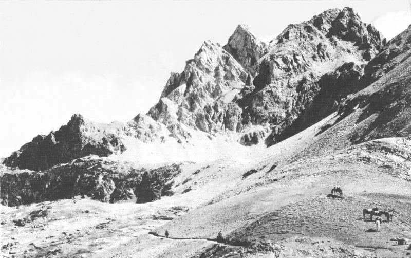 ALONG THE TRAIL AT THE HEAD OF CASCADE CANYON

Grant photo.