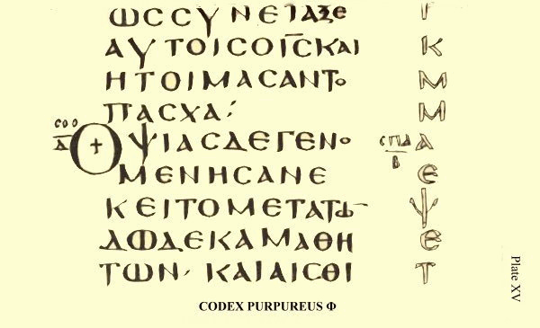 Plate XV. Illustration.