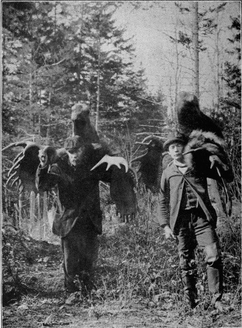 TWO MAGNIFICENT TROPHIES OF THE CHASE.

The one on the left formerly held the Maine Record.