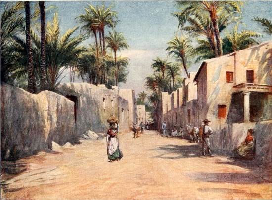 ELCHE&mdash;A STREET