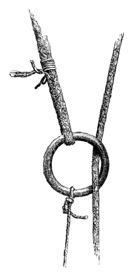 Illustration: Rope and rin