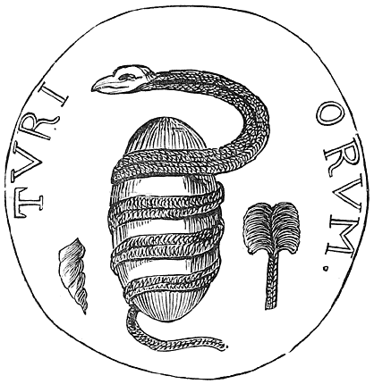 Fig. 23.&mdash;Serpent and Egg (Tyre).