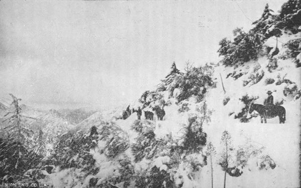 On Grade of Mount Lowe Railway, near Alpine Tavern,
Thirty Minutes from Flowers at Echo Mountain House.