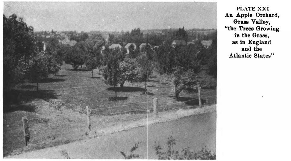 Grass Valley. Plate21