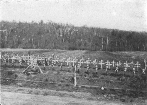 [Image not available]