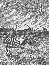 Tierwanderungen Tierwanderungen