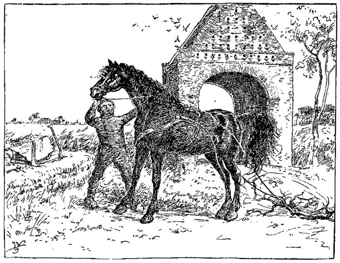 It hynzer fen dokter op it
hiem fen &rsquo;e slotpleats to Waexens.