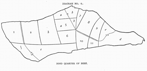 Diagram No. 1. Hind Quarter of Beef. Diagram No. 1. Hind Quarter of Beef.