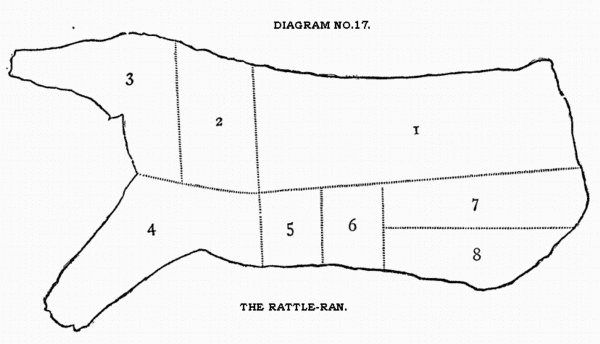 DIAGRAM NO. 17. THE RATTLE-RAN. DIAGRAM NO. 17. THE RATTLE-RAN.
